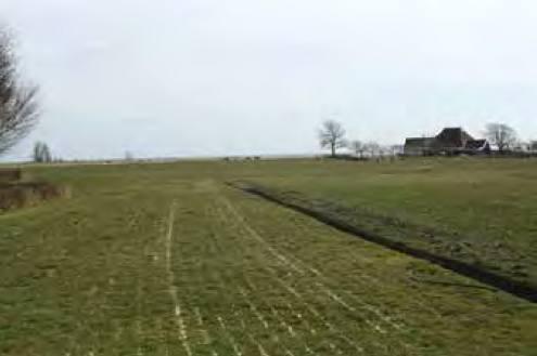tjalma farm2