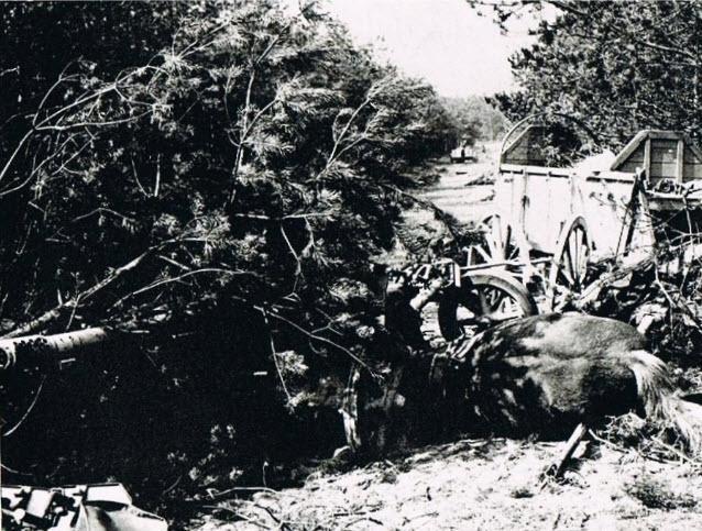 5th Canadian (Armoured) Division liberation of Otterlo