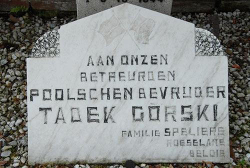 1st Polish Armoured Division liberation of Alphen