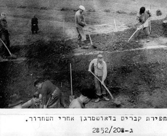 Executions carried out by the Einsatzkommando 3 on Thursday 04 September 1941