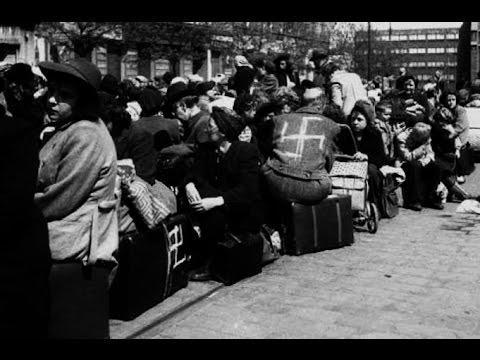 Anti-German pogrom resulted in the deaths of 71 men, 120 women and 74 children