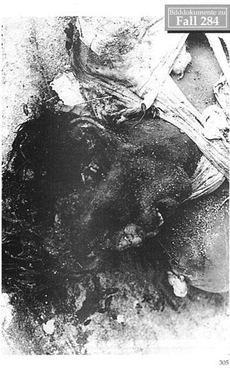 160 German soldiers fell into the hands of the Russian Army