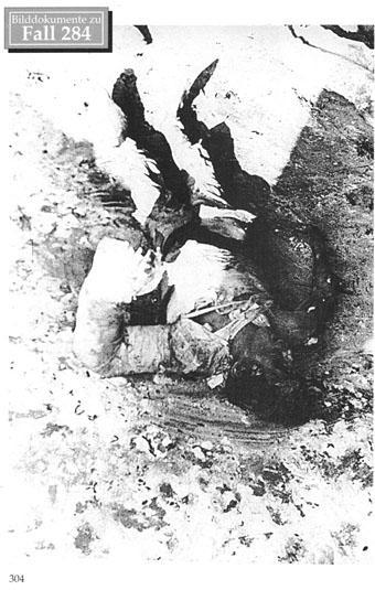 160 German soldiers fell into the hands of the Russian Army