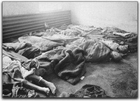 Auschwitz/Birkenau