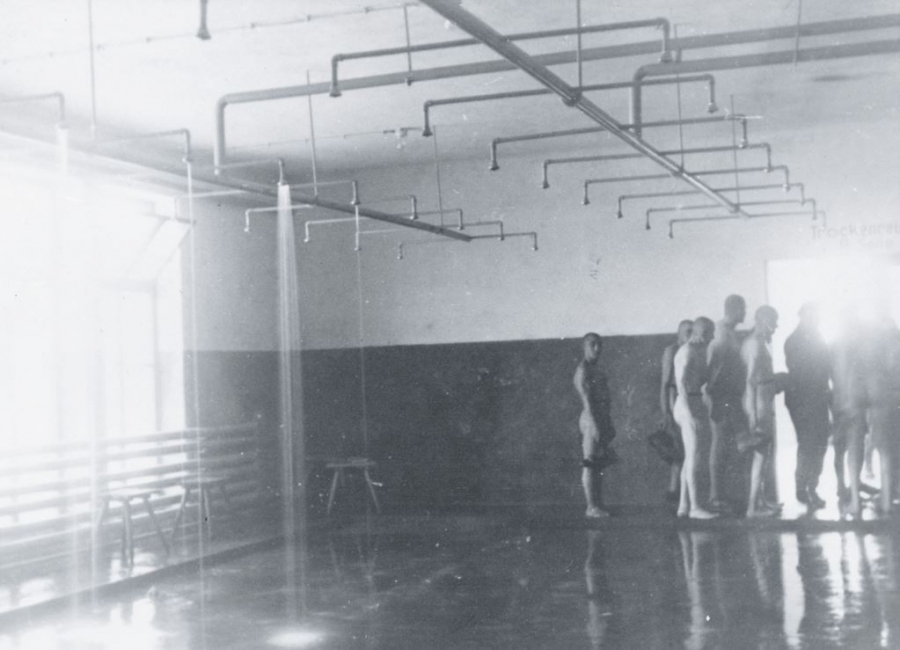 Auschwitz - Delouse