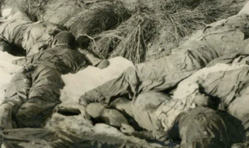 333 Field Artillery Battalion (USA) Wereth 11 executed