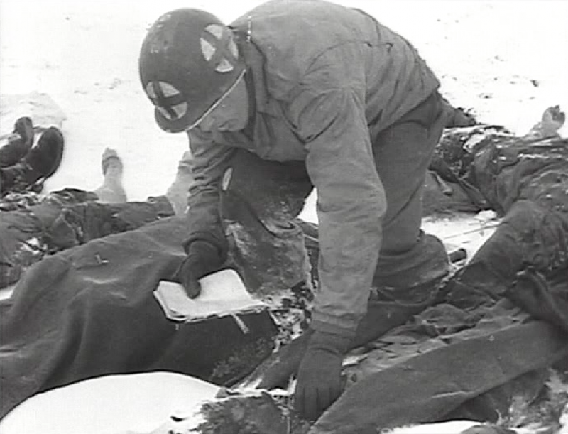 285 Field Artillery Observation Battalion 90 soldiers executed