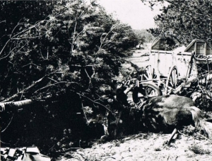 5th Canadian (Armoured) Division liberation of Otterlo