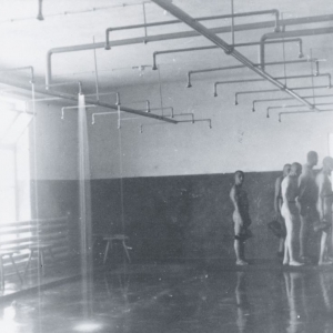 Auschwitz - Delouse