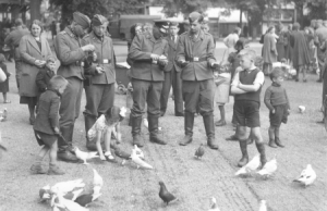 53rd (Welsh) Infantry Division (UK) fought to release 's-Hertogenbosch day 4